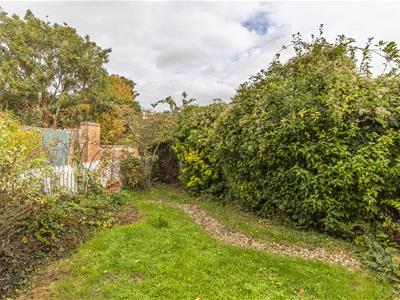 Picture 22